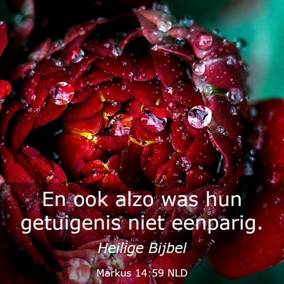 Picture 03 - Markus 14:59 NLD - En ook alzo was hun getuigenis niet - Bible Verse Picture