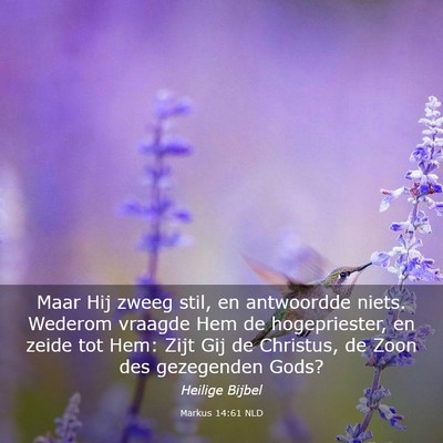 Picture 03 - Markus 14:61 NLD - Maar Hij zweeg stil, en antwoordde niets. Wederom - Bible Verse Picture