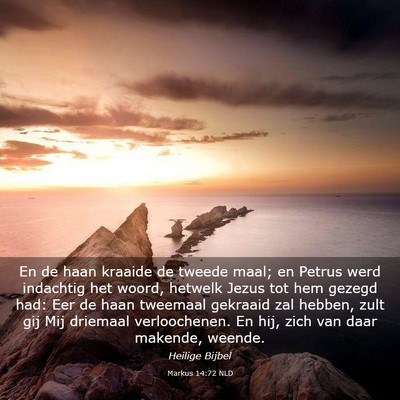 Picture 03 - Markus 14:72 NLD - En de haan kraaide de tweede maal; en Petrus werd - Bible Verse Picture