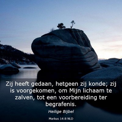 Picture 03 - Markus 14:8 NLD - Zij heeft gedaan, hetgeen zij konde; zij is - Bible Verse Picture