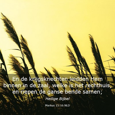 Picture 03 - Markus 15:16 NLD - En de krijgsknechten leidden Hem binnen in de - Bible Verse Picture