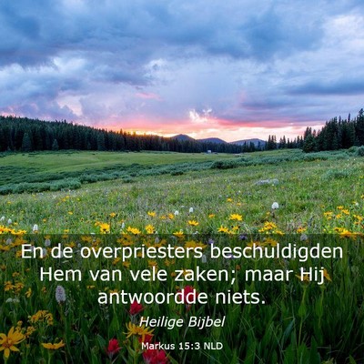Picture 03 - Markus 15:3 NLD - En de overpriesters beschuldigden Hem van vele - Bible Verse Picture