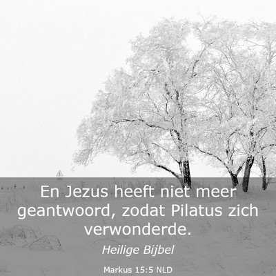 Picture 03 - Markus 15:5 NLD - En Jezus heeft niet meer geantwoord, zodat - Bible Verse Picture