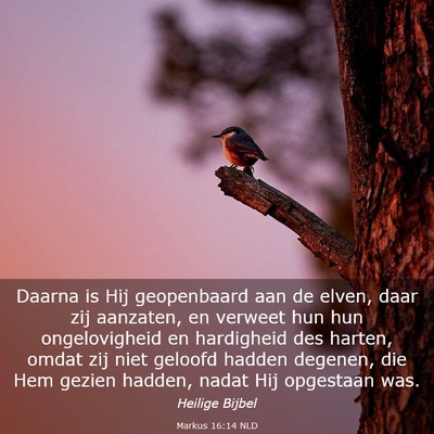 Picture 03 - Markus 16:14 NLD - Daarna is Hij geopenbaard aan de elven, daar zij - Bible Verse Picture