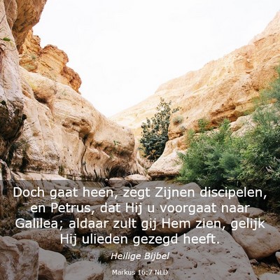 Picture 03 - Markus 16:7 NLD - Doch gaat heen, zegt Zijnen discipelen, en - Bible Verse Picture