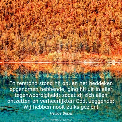 Picture 03 - Markus 2:12 NLD - En terstond stond hij op, en het beddeken - Bible Verse Picture