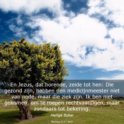 Picture 03 - Markus 2:17 NLD - En Jezus, dat horende, zeide tot hen: Die gezond - Bible Verse Picture