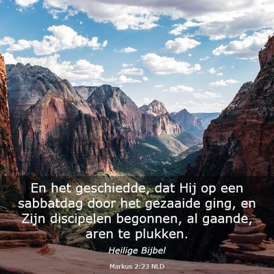 Picture 03 - Markus 2:23 NLD - En het geschiedde, dat Hij op een sabbatdag door - Bible Verse Picture