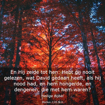 Picture 03 - Markus 2:25 NLD - En Hij zeide tot hen: Hebt gij nooit gelezen, wat - Bible Verse Picture