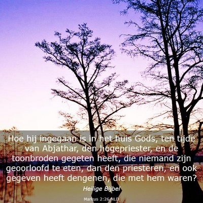 Picture 03 - Markus 2:26 NLD - Hoe hij ingegaan is in het huis Gods, ten tijde - Bible Verse Picture