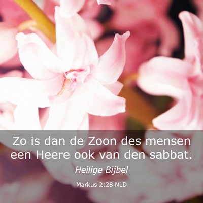 Picture 03 - Markus 2:28 NLD - Zo is dan de Zoon des mensen een Heere ook van - Bible Verse Picture