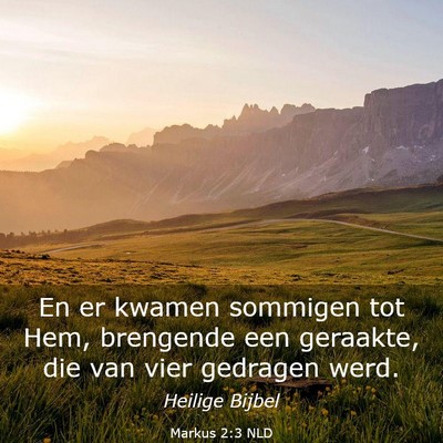 Picture 03 - Markus 2:3 NLD - En er kwamen sommigen tot Hem, brengende een - Bible Verse Picture