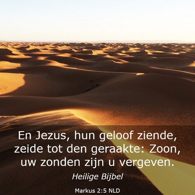Picture 03 - Markus 2:5 NLD - En Jezus, hun geloof ziende, zeide tot den - Bible Verse Picture