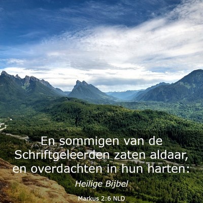 Picture 03 - Markus 2:6 NLD - En sommigen van de Schriftgeleerden zaten aldaar, - Bible Verse Picture