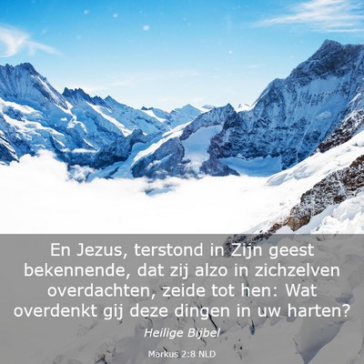 Picture 03 - Markus 2:8 NLD - En Jezus, terstond in Zijn geest bekennende, dat - Bible Verse Picture