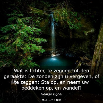Picture 03 - Markus 2:9 NLD - Wat is lichter, te zeggen tot den geraakte: De - Bible Verse Picture