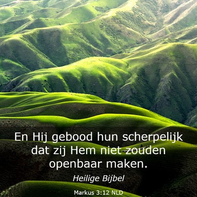 Picture 03 - Markus 3:12 NLD - En Hij gebood hun scherpelijk dat zij Hem niet - Bible Verse Picture