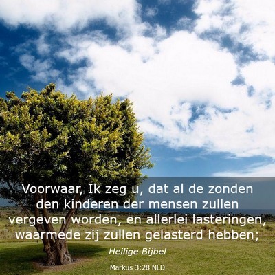 Picture 03 - Markus 3:28 NLD - Voorwaar, Ik zeg u, dat al de zonden den kinderen - Bible Verse Picture