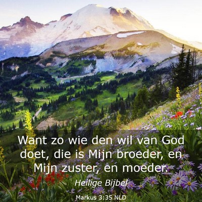 Picture 03 - Markus 3:35 NLD - Want zo wie den wil van God doet, die is Mijn - Bible Verse Picture
