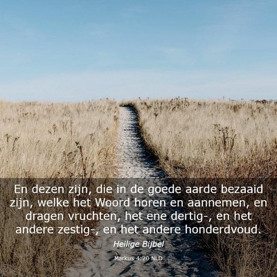 Picture 03 - Markus 4:20 NLD - En dezen zijn, die in de goede aarde bezaaid - Bible Verse Picture