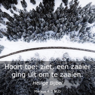 Picture 03 - Markus 4:3 NLD - Hoort toe: ziet, een zaaier ging uit om te - Bible Verse Picture