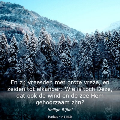 Picture 03 - Markus 4:41 NLD - En zij vreesden met grote vreze, en zeiden tot - Bible Verse Picture