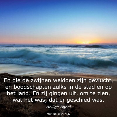 Picture 03 - Markus 5:14 NLD - En die de zwijnen weidden zijn gevlucht, en - Bible Verse Picture