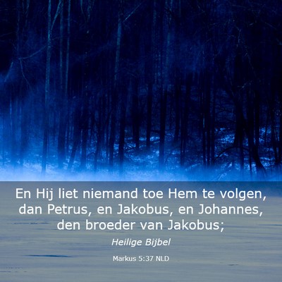 Picture 03 - Markus 5:37 NLD - En Hij liet niemand toe Hem te volgen, dan - Bible Verse Picture