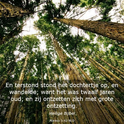 Picture 03 - Markus 5:42 NLD - En terstond stond het dochtertje op, en wandelde; - Bible Verse Picture