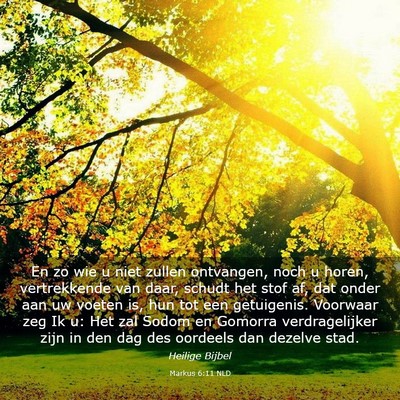 Picture 03 - Markus 6:11 NLD - En zo wie u niet zullen ontvangen, noch u horen, - Bible Verse Picture