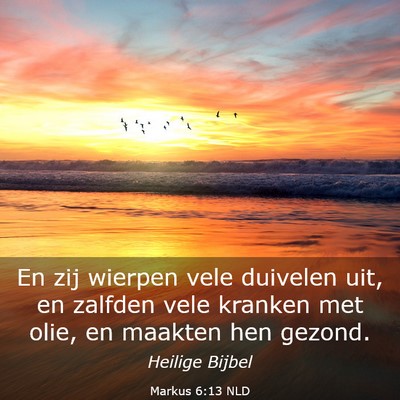 Picture 03 - Markus 6:13 NLD - En zij wierpen vele duivelen uit, en zalfden vele - Bible Verse Picture