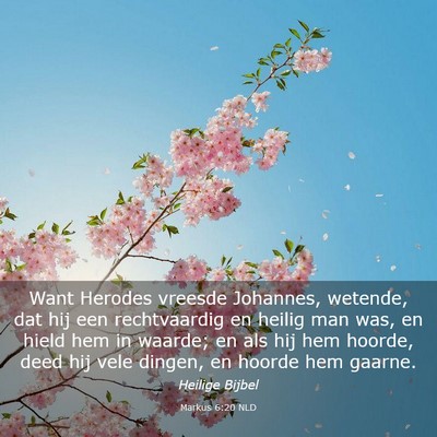 Picture 03 - Markus 6:20 NLD - Want Herodes vreesde Johannes, wetende, dat hij - Bible Verse Picture