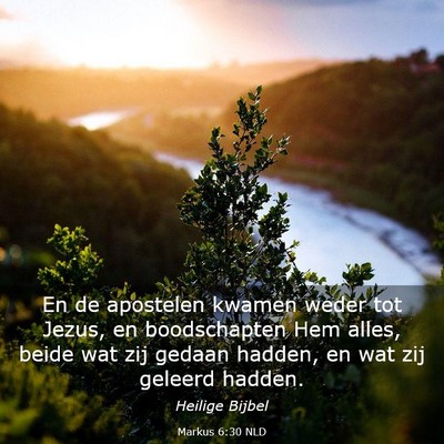 Picture 03 - Markus 6:30 NLD - En de apostelen kwamen weder tot Jezus, en - Bible Verse Picture