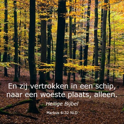 Picture 03 - Markus 6:32 NLD - En zij vertrokken in een schip, naar een woeste - Bible Verse Picture