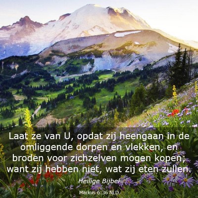 Picture 03 - Markus 6:36 NLD - Laat ze van U, opdat zij heengaan in de - Bible Verse Picture