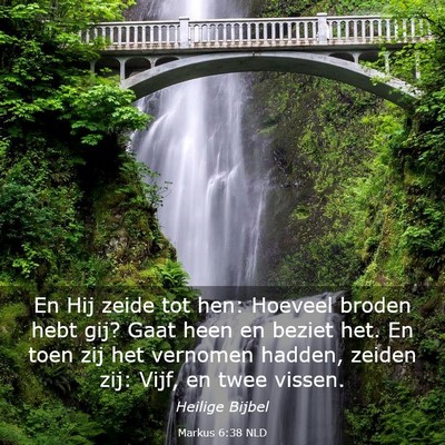 Picture 03 - Markus 6:38 NLD - En Hij zeide tot hen: Hoeveel broden hebt gij? - Bible Verse Picture