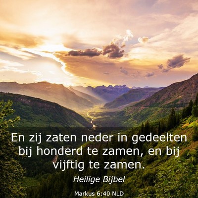 Picture 03 - Markus 6:40 NLD - En zij zaten neder in gedeelten bij honderd te - Bible Verse Picture
