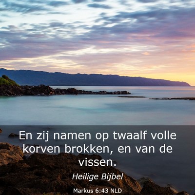 Picture 03 - Markus 6:43 NLD - En zij namen op twaalf volle korven brokken, en - Bible Verse Picture