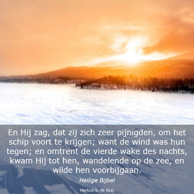 Picture 03 - Markus 6:48 NLD - En Hij zag, dat zij zich zeer pijnigden, om het - Bible Verse Picture
