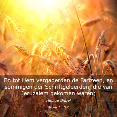 Picture 03 - Markus 7:1 NLD - En tot Hem vergaderden de Farizeen, en sommigen - Bible Verse Picture