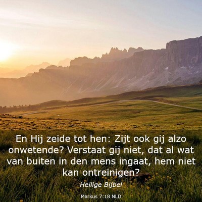 Picture 03 - Markus 7:18 NLD - En Hij zeide tot hen: Zijt ook gij alzo - Bible Verse Picture