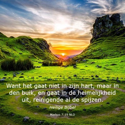 Picture 03 - Markus 7:19 NLD - Want het gaat niet in zijn hart, maar in den - Bible Verse Picture