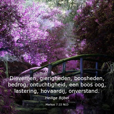 Picture 03 - Markus 7:22 NLD - Dieverijen, gierigheden, boosheden, bedrog, - Bible Verse Picture