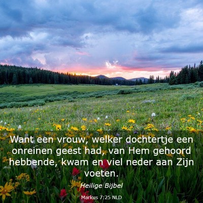 Picture 03 - Markus 7:25 NLD - Want een vrouw, welker dochtertje een onreinen - Bible Verse Picture