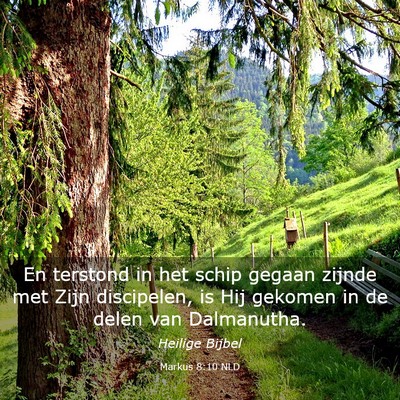 Picture 03 - Markus 8:10 NLD - En terstond in het schip gegaan zijnde met Zijn - Bible Verse Picture