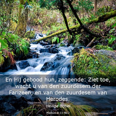 Picture 03 - Markus 8:15 NLD - En Hij gebood hun, zeggende: Ziet toe, wacht u - Bible Verse Picture