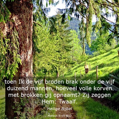 Picture 03 - Markus 8:19 NLD - toen Ik de vijf broden brak onder de vijf duizend - Bible Verse Picture