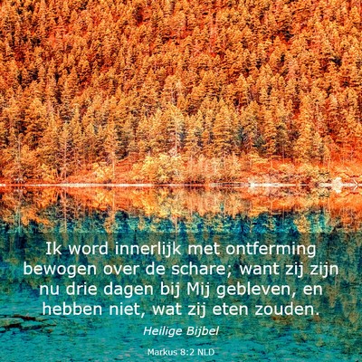 Picture 03 - Markus 8:2 NLD - Ik word innerlijk met ontferming bewogen over de - Bible Verse Picture