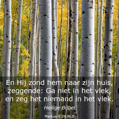 Picture 03 - Markus 8:26 NLD - En Hij zond hem naar zijn huis, zeggende: Ga niet - Bible Verse Picture