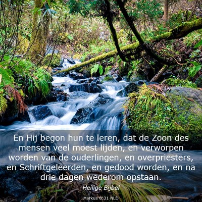 Picture 03 - Markus 8:31 NLD - En Hij begon hun te leren, dat de Zoon des mensen - Bible Verse Picture